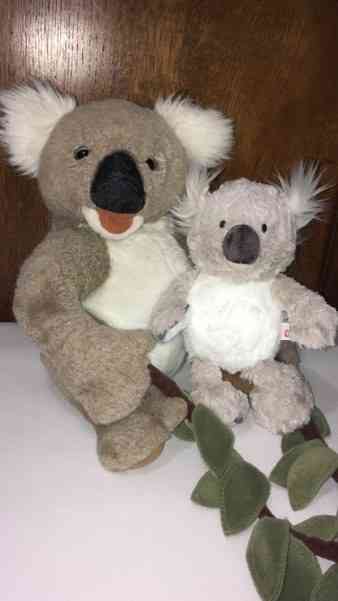Homepage Koalas
