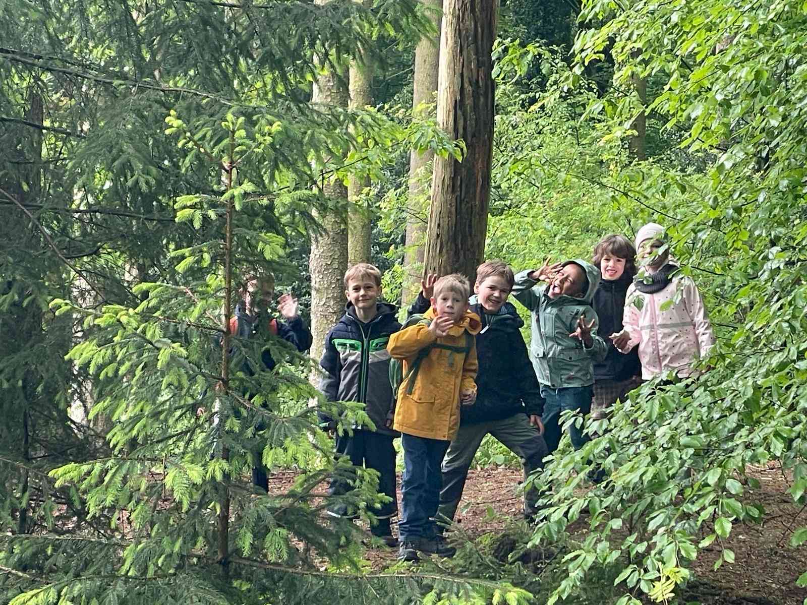 Wald 2 26